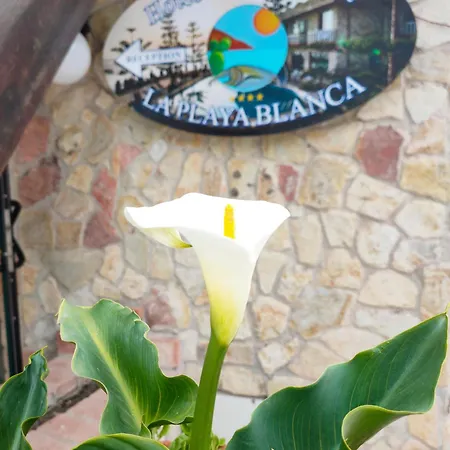 La Playa Blanca 4* Santo Stefano di Camastra