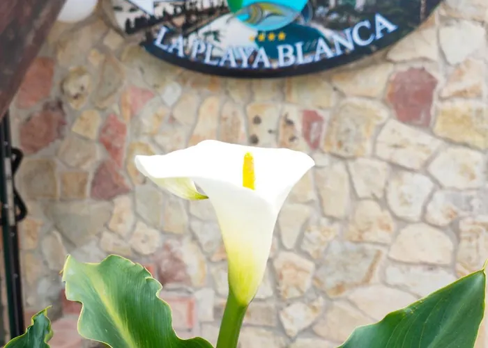 La Playa Blanca 4* Santo Stefano di Camastra